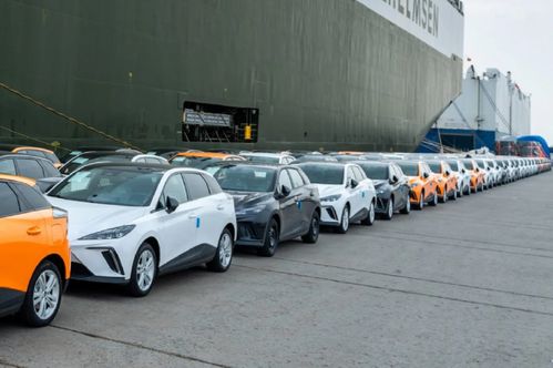 关税高墙难阻中国汽车，欧洲市场销量翻番背后的多维战略